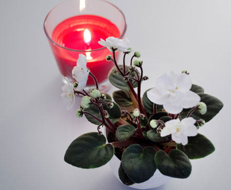 Zahnärztin Dr. Annett Richter, Hamburg Barmbek, eine Praxis die nicht nach Zahnarzt riecht, moderne Zahnmedizin auf dem neuesten Stand der Wissenschaft, Wohlfühlen, Ruhiger Raum, Musik zum Entspannen während der Behandlung