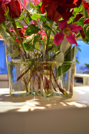 Zahnärztin Dr. Annett Richter, Hamburg Barmbek, eine Praxis die nicht nach Zahnarzt riecht, moderne Zahnmedizin auf dem neuesten Stand der Wissenschaft, Dr. Chistian Bläul Fachzahnarzt für Oralchirurgie, Implantate, Implantologie Zahnärztin Dr. Annett Richter, Hamburg Barmbek, eine Praxis die nicht nach Zahnarzt riecht, moderne Zahnmedizin auf dem neuesten Stand der Wissenschaft, Dr. Chistian Bläul Fachzahnarzt für Oralchirurgie, Implantate, Implantologie